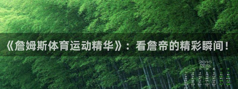 球深体育比分：《詹姆斯体育运动精华》：看詹帝的精彩瞬间！