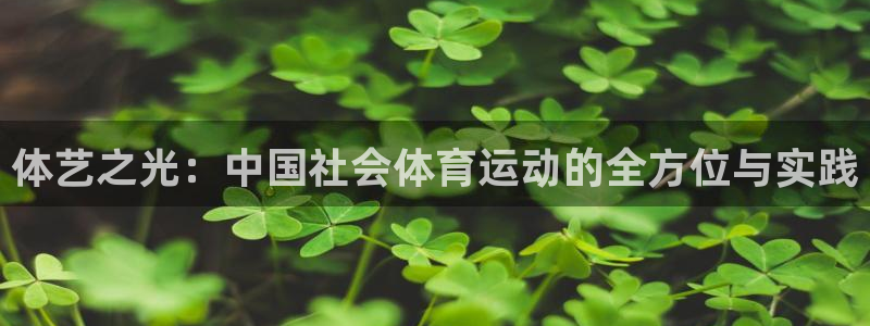 球深体育比分：体艺之光：中国社会体育运动的全方位与实践