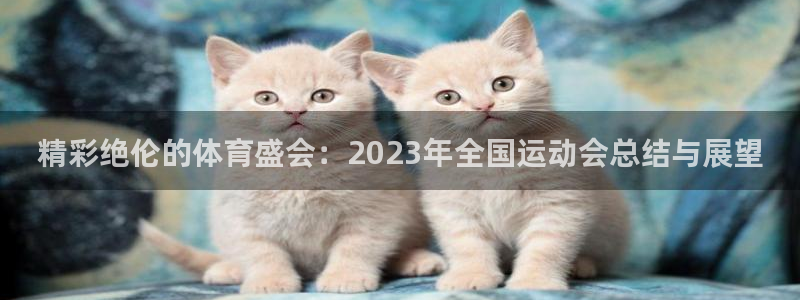 球深体育比分：精彩绝伦的体育盛会：2023年全国运动会总结与展望
