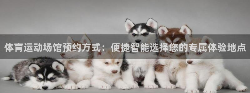 球深体育比分：体育运动场馆预约方式：便捷智能选择您的专属体验地点