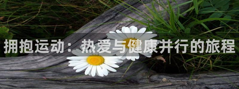 球深体育比分：拥抱运动：热爱与健康并行的旅程