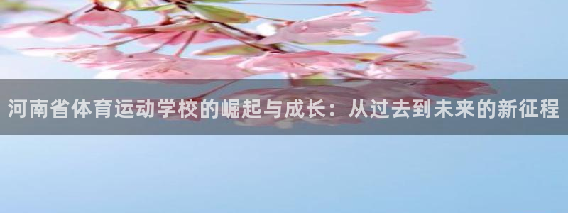 球深体育比分：河南省体育运动学校的崛起与成长：从过去到未来的新征程
