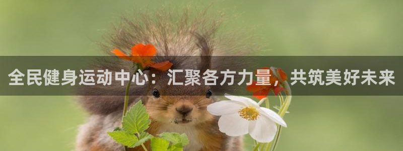 球深体育比分：全民健身运动中心：汇聚各方力量，共筑美好未来