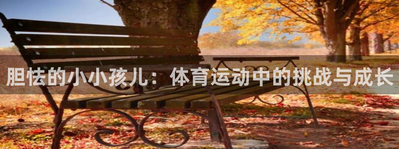 球深体育比分：胆怯的小小孩儿：体育运动中的挑战与成长