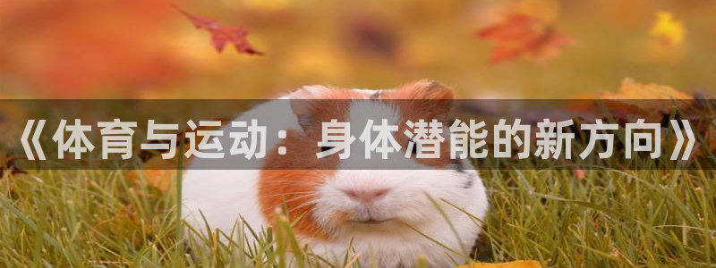 球深体育比分：《体育与运动：身体潜能的新方向》