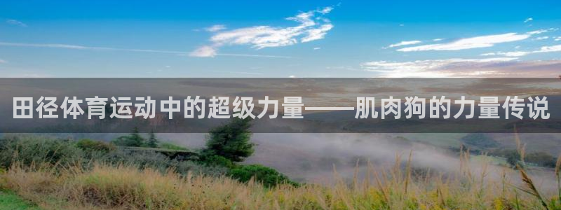 球深体育比分：田径体育运动中的超级力量——肌肉狗的力量传说