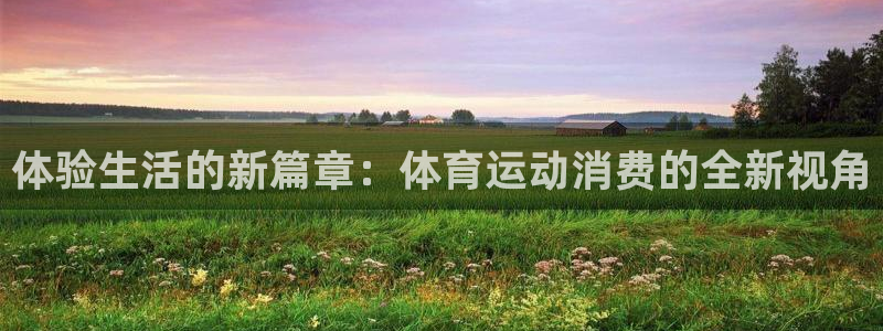 球深体育比分：体验生活的新篇章：体育运动消费的全新视角