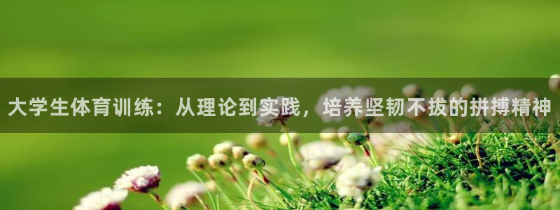球深体育比分：大学生体育训练：从理论到实践，培养坚韧不拔的拼搏精神