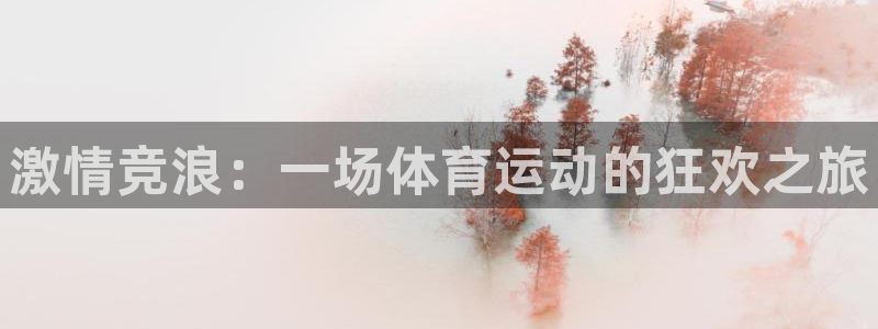 球深体育比分：激情竞浪：一场体育运动的狂欢之旅